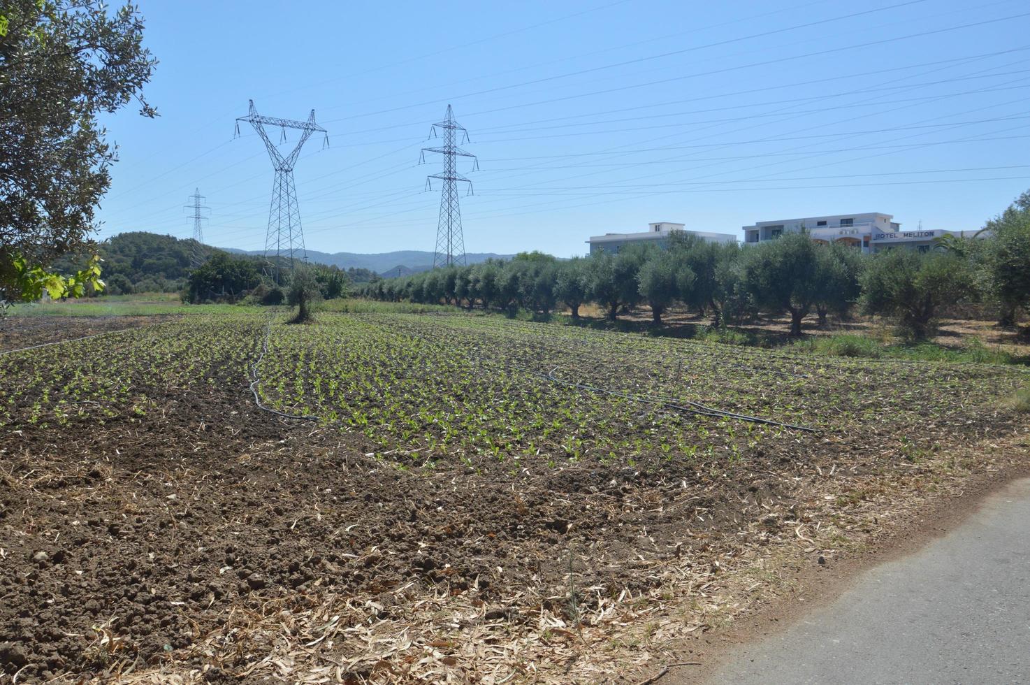 Poles and wires of high-voltage power lines photo