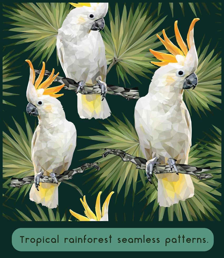 Cockatoo bird seamless patterns design vector