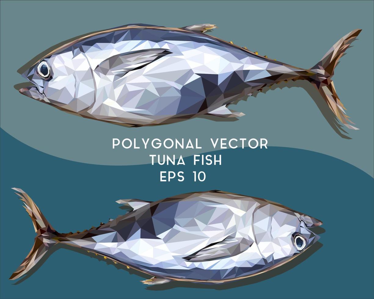 ilustración poligonal de atún vector