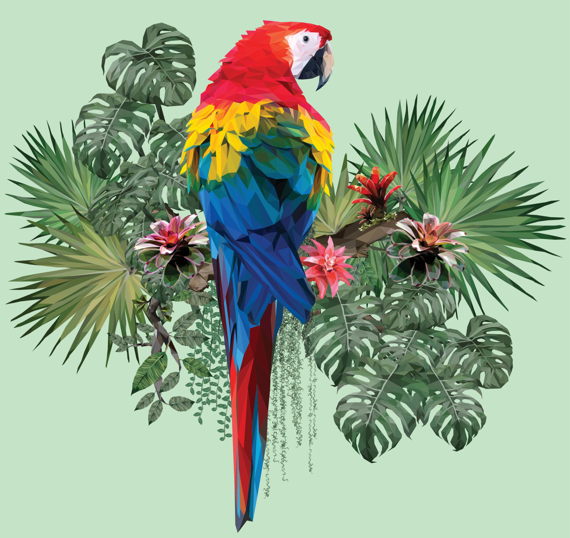 Scarlet macaw bird with Amazon leaves 3564529 Vector Art at Vecteezy