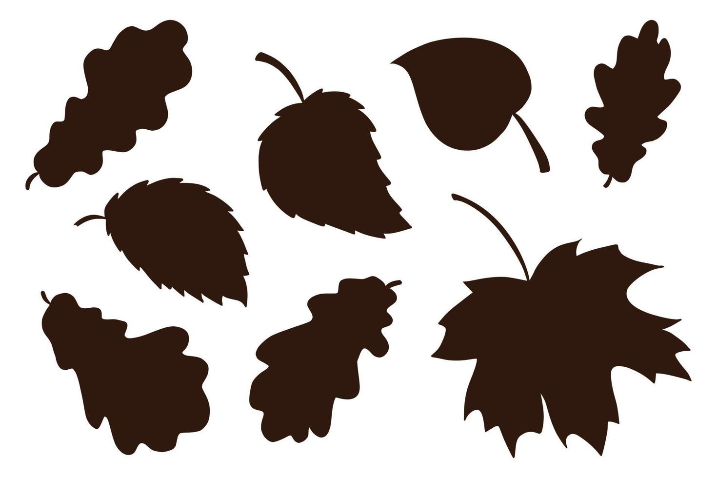 Hand Drawn Leaves Shadows Collection vector