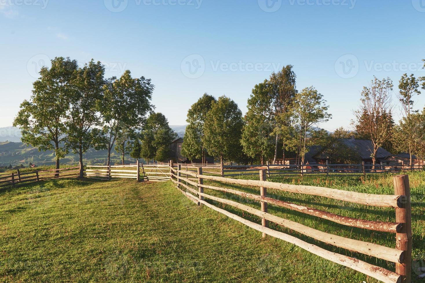 Hermoso paisaje de montaña de verano en sunshine.vista de la pradera vallada y vacas pastando en ella foto