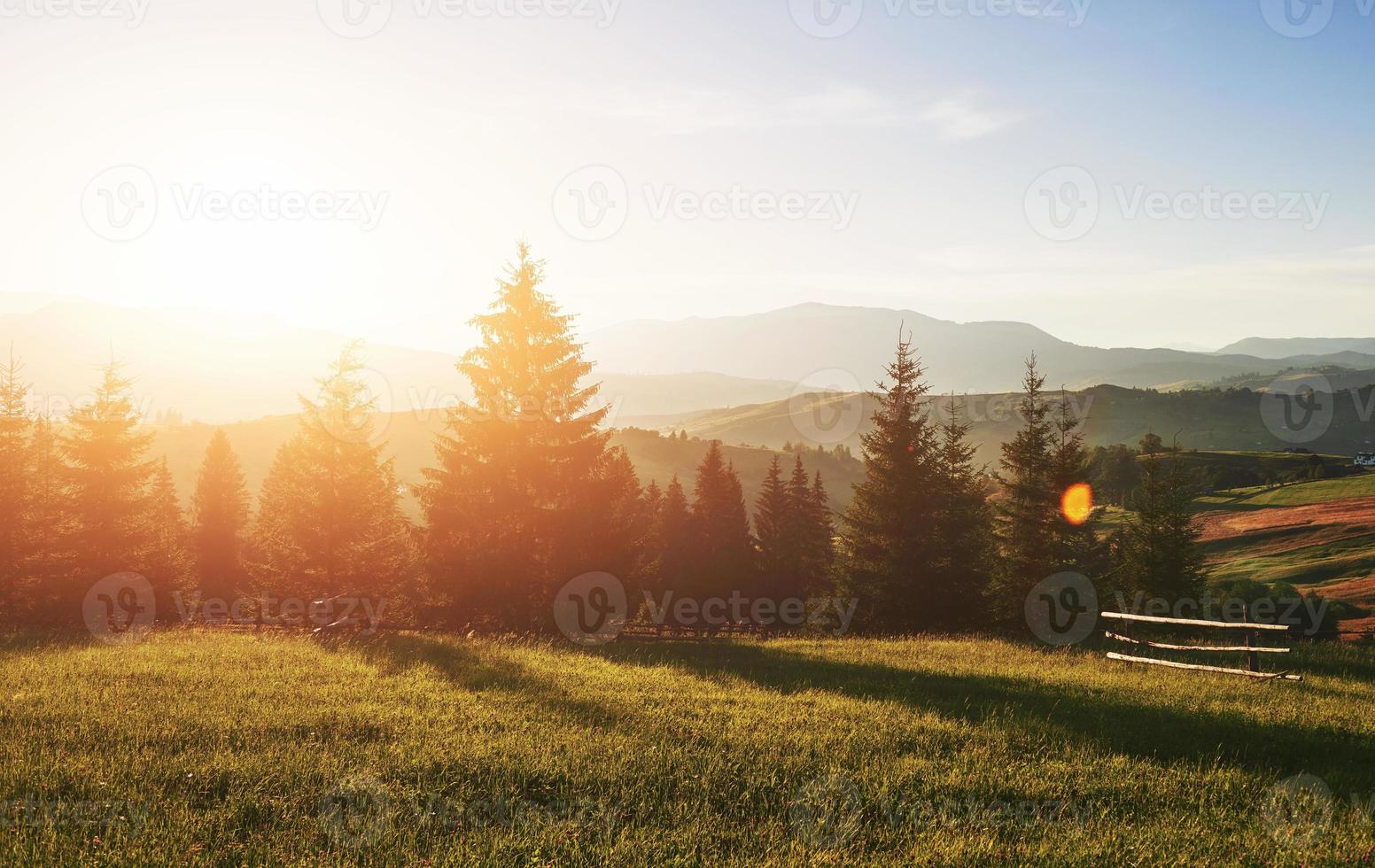 Hermoso paisaje de montaña de verano en sunshine.vista de la pradera vallada y vacas pastando en ella foto