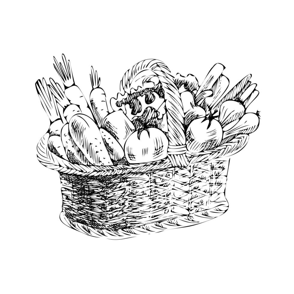 Vector hand-drawn vegetable Illustration. Detailed retro style    sketch of a basket with vegetables. Vintage sketch element for labels, packaging and cards design.