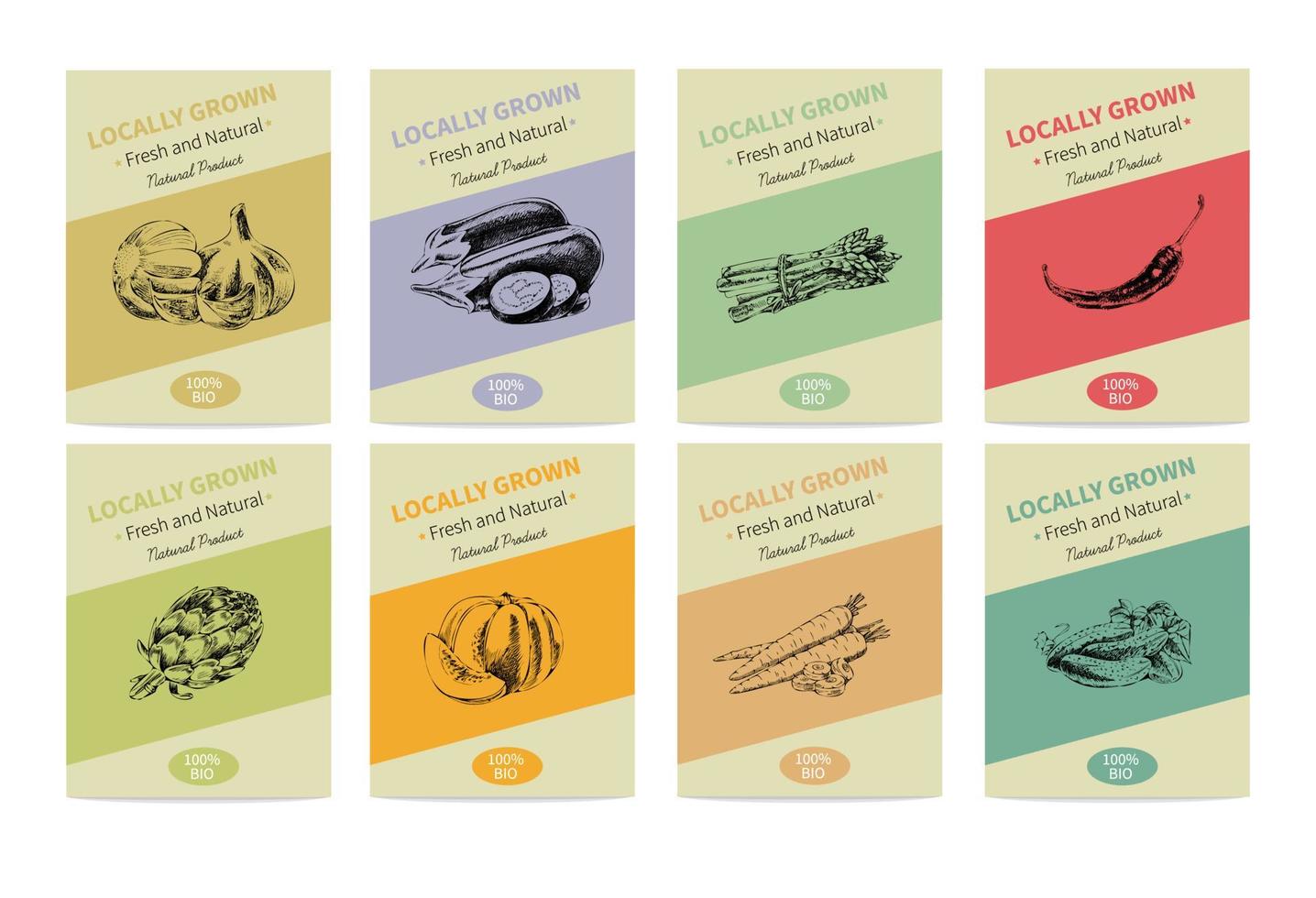 Vector hand-drawn set of agricultural banners. An environmentally friendly food product. Vintage illustration. A hand-drawn sketch.