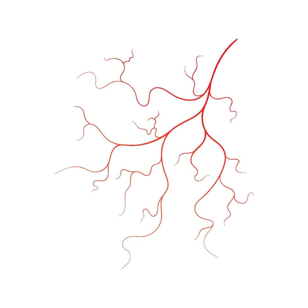 Human vein  vector symbol icon design illustration