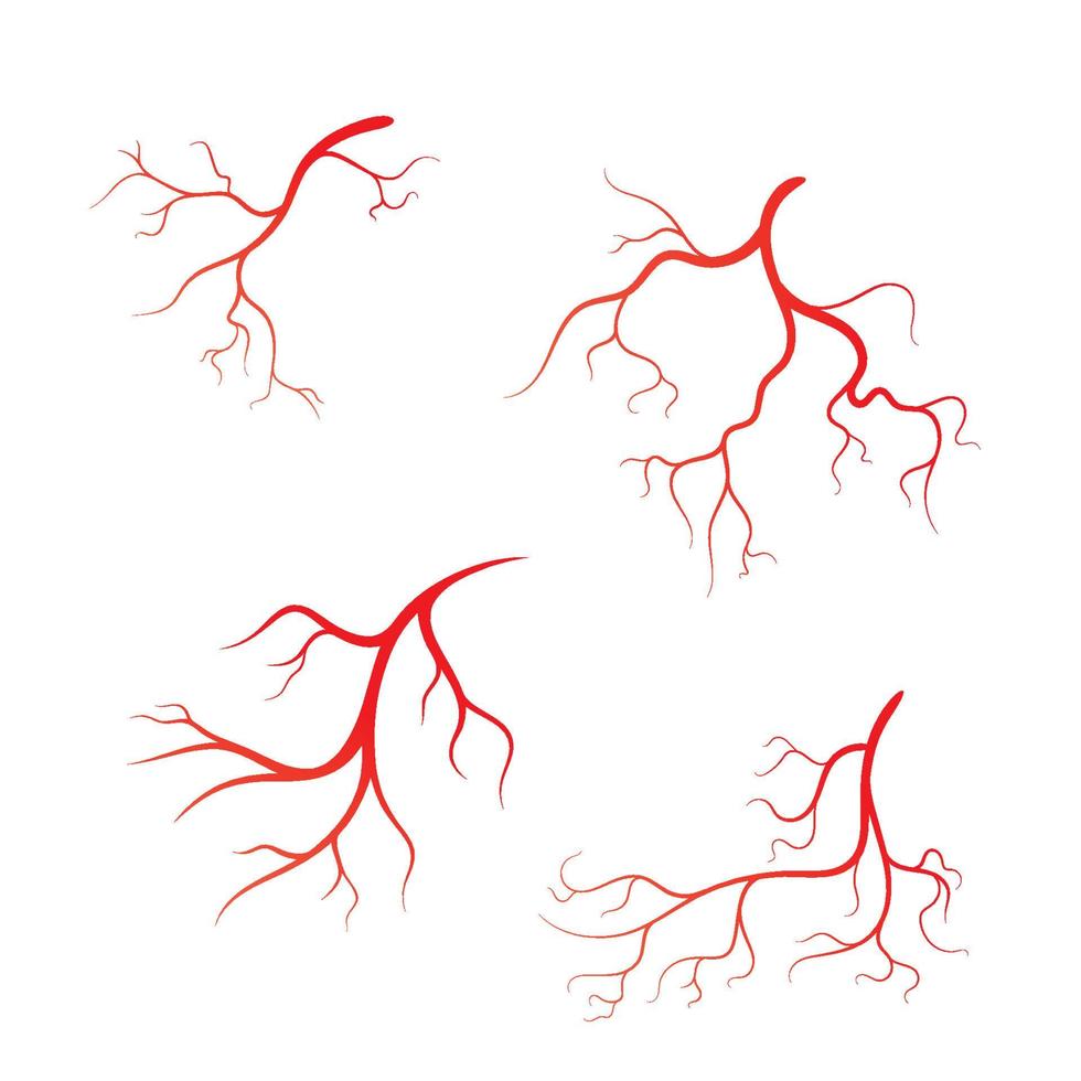 Ilustración de diseño de icono de símbolo de vector de vena humana