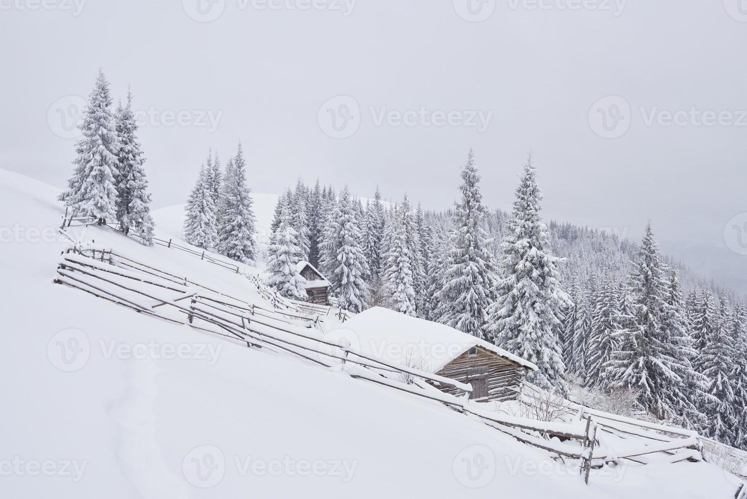 Fantastic winter landscape, the steps that lead to the cabin. Magic event in frosty day. In anticipation of the holiday. Dramatic scenes. Carpathian, Ukraine, Europe photo