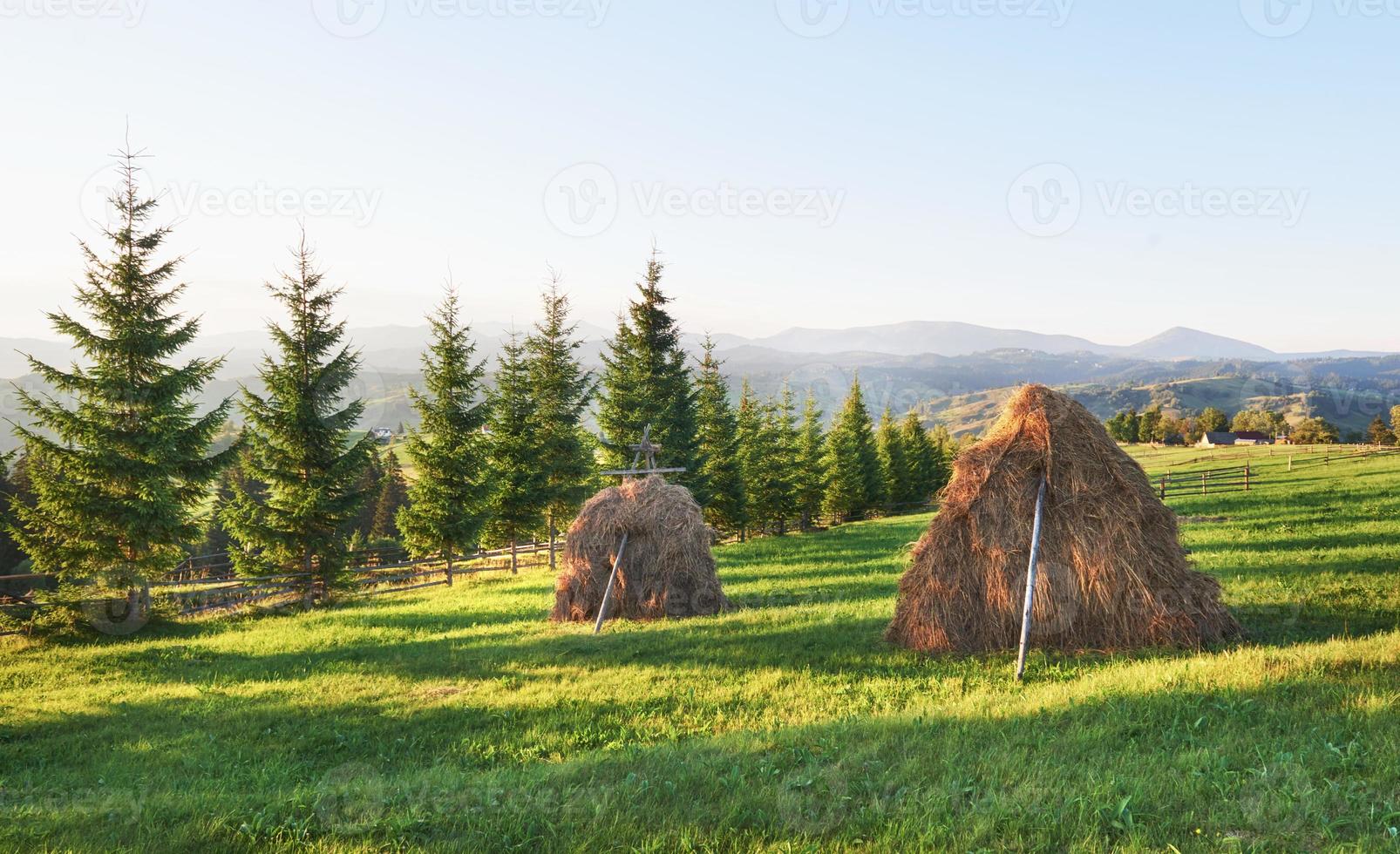 pajar en la puesta del sol. prado, pedazo de pastizal, especialmente uno usado para heno. montañas de los cárpatos, ucrania foto