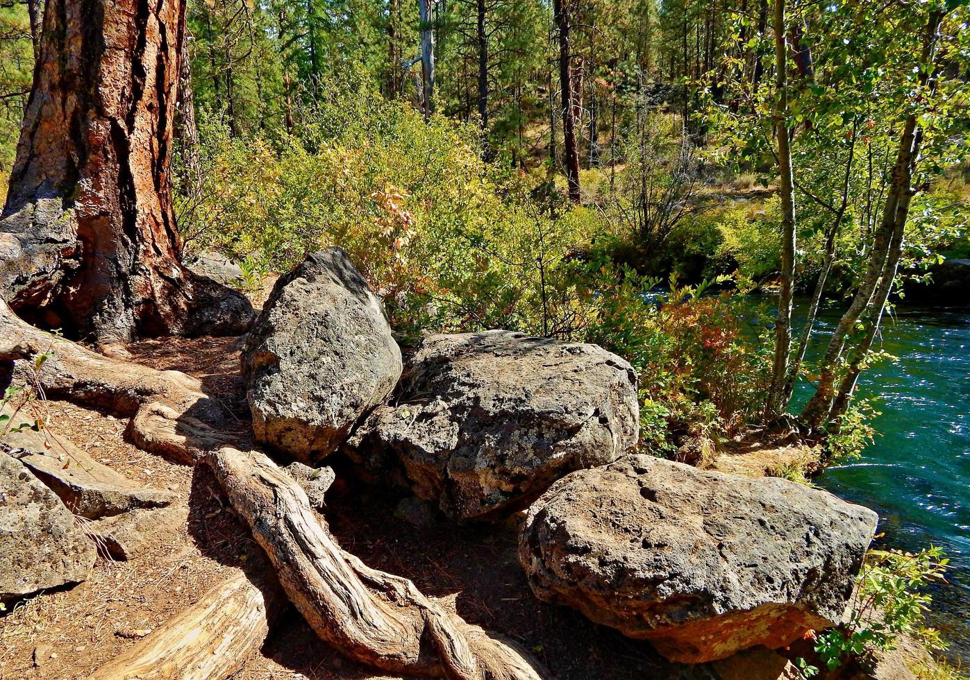 Early Autumn At the Riverside a fall scene along the Metolius River at Canyon Creek Campground north of Camp Sherman OR photo