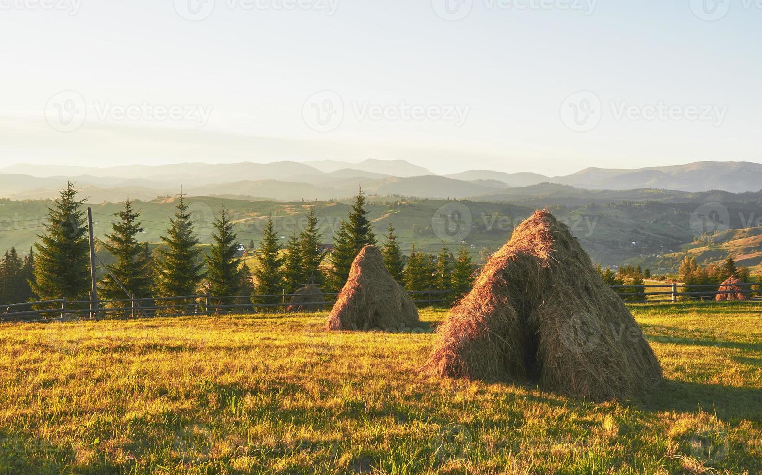 pajar en la puesta del sol. prado, pedazo de pastizal, especialmente uno usado para heno. montañas de los cárpatos, ucrania foto