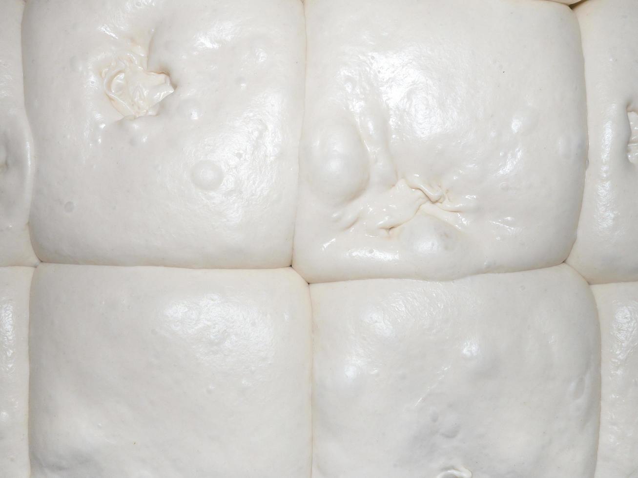 Pizza dough balls in a box during fermentation photo