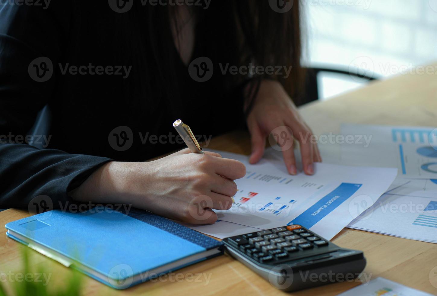 Female executives are finalizing a budget plan. photo