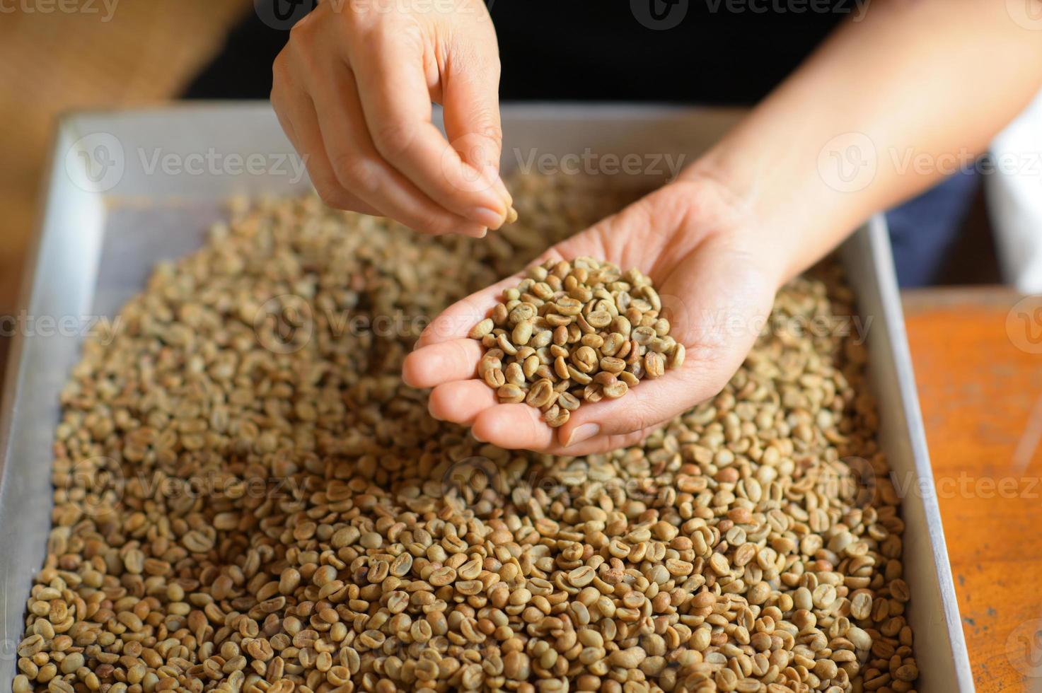 Close-up of Hand-picked coffee beans. photo