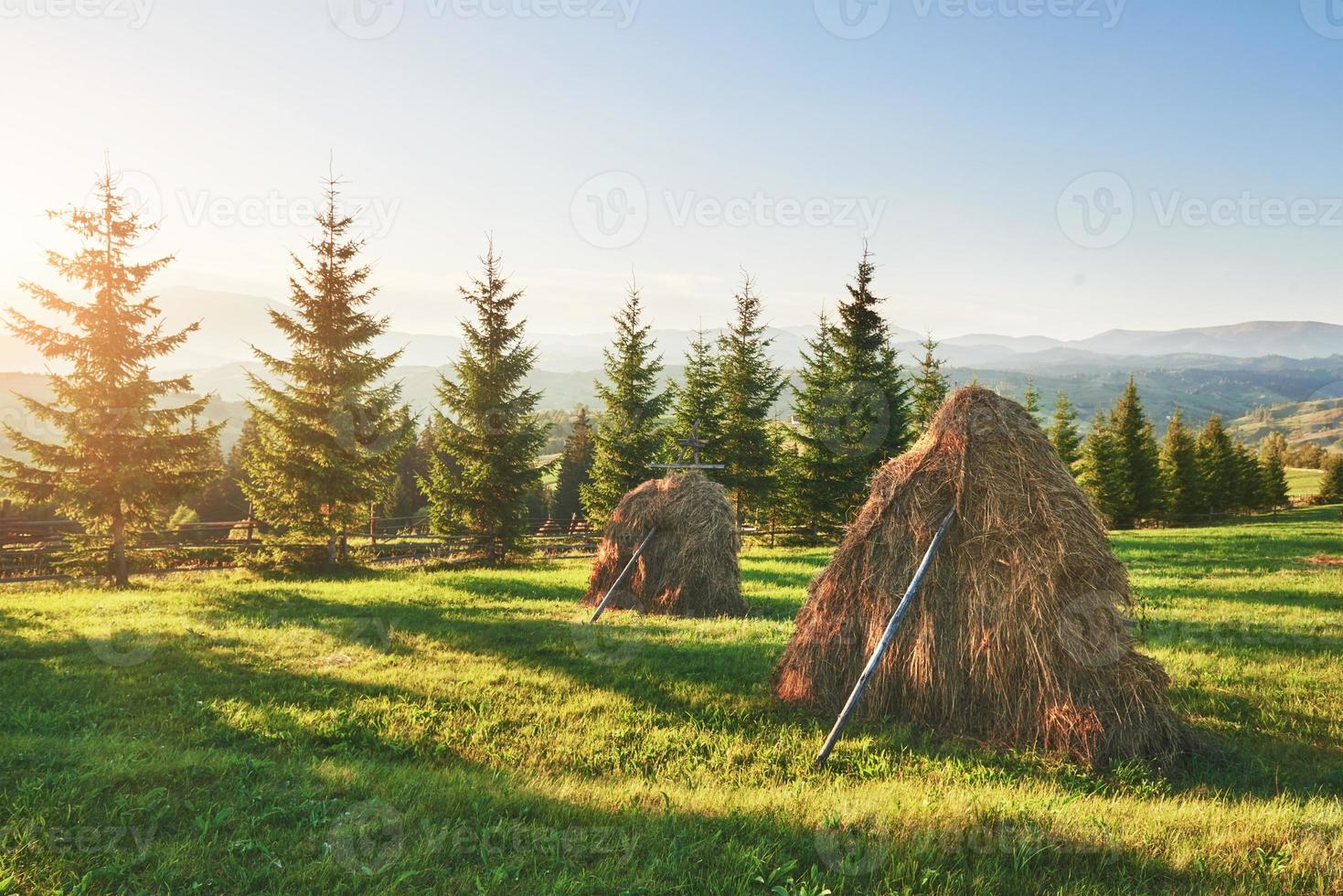 pajar en la puesta del sol. prado, pedazo de pastizal, especialmente uno usado para heno. montañas de los cárpatos, ucrania foto