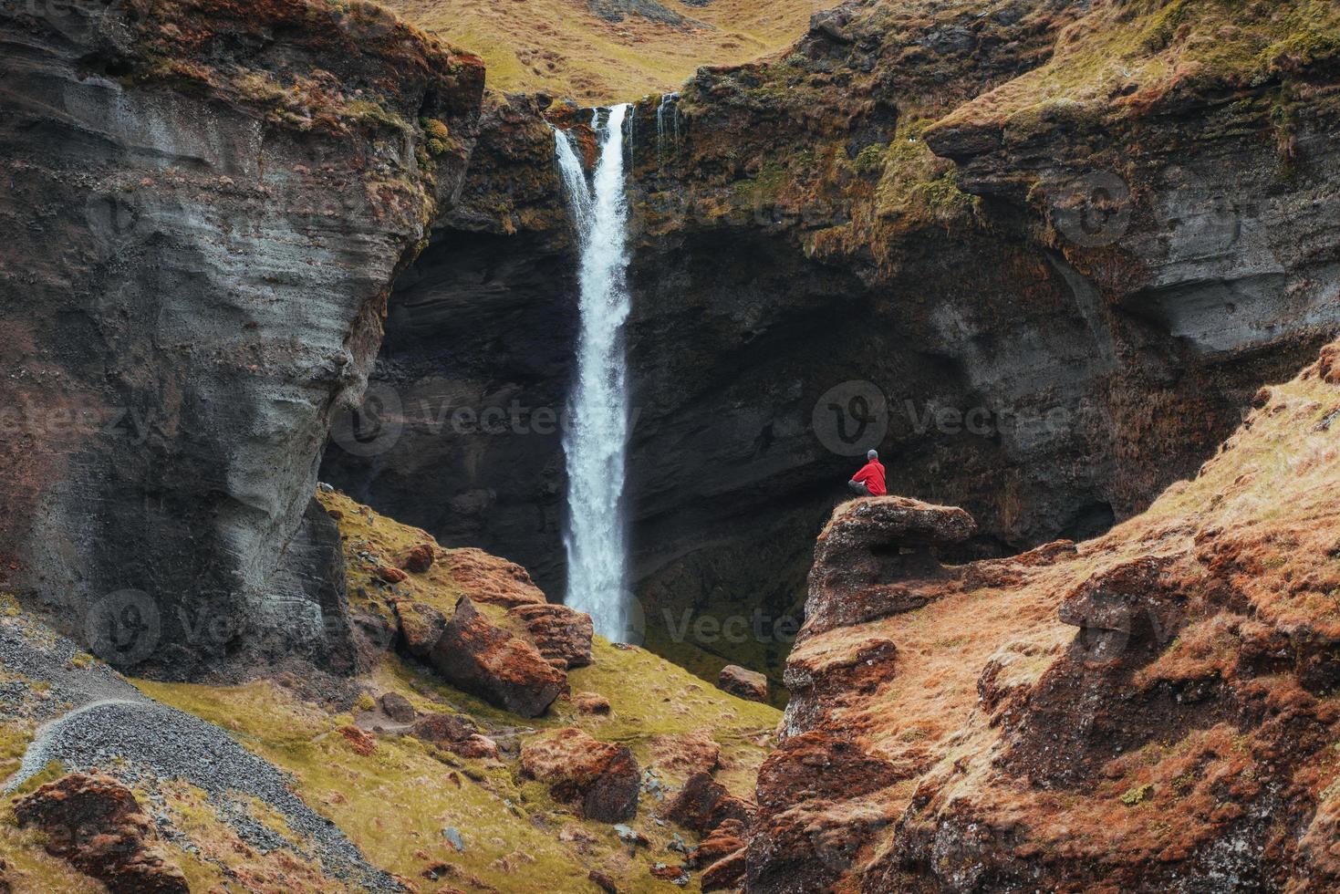 The picturesque landscape of mountains and waterfalls of Iceland. Wild blue lupine blooming in summer. Tourist considering the scenic beauty of the world photo