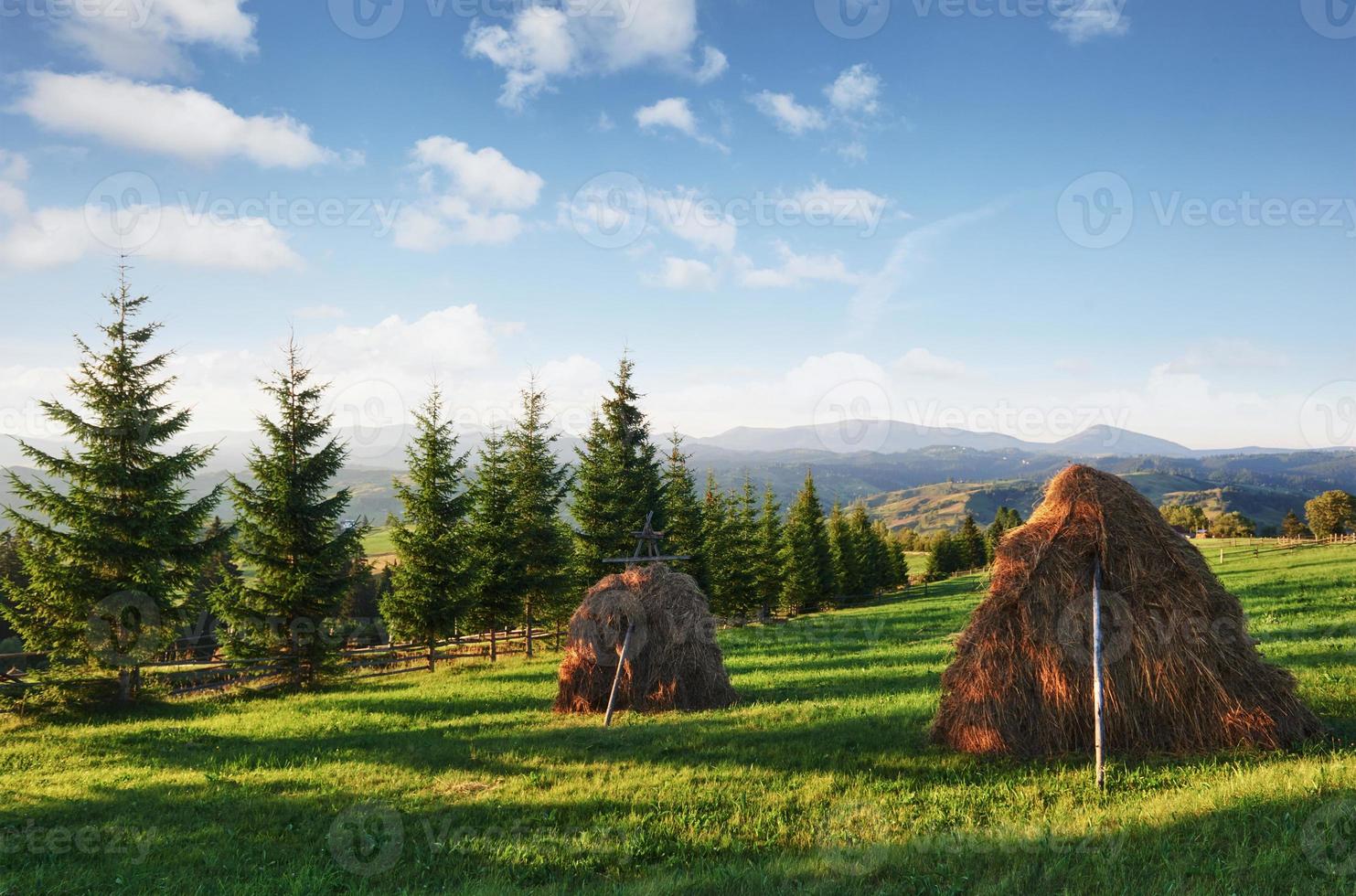Beautiful summer mountain landscape at sunshine. View of the meadow fenced fence. Rural landscape photo