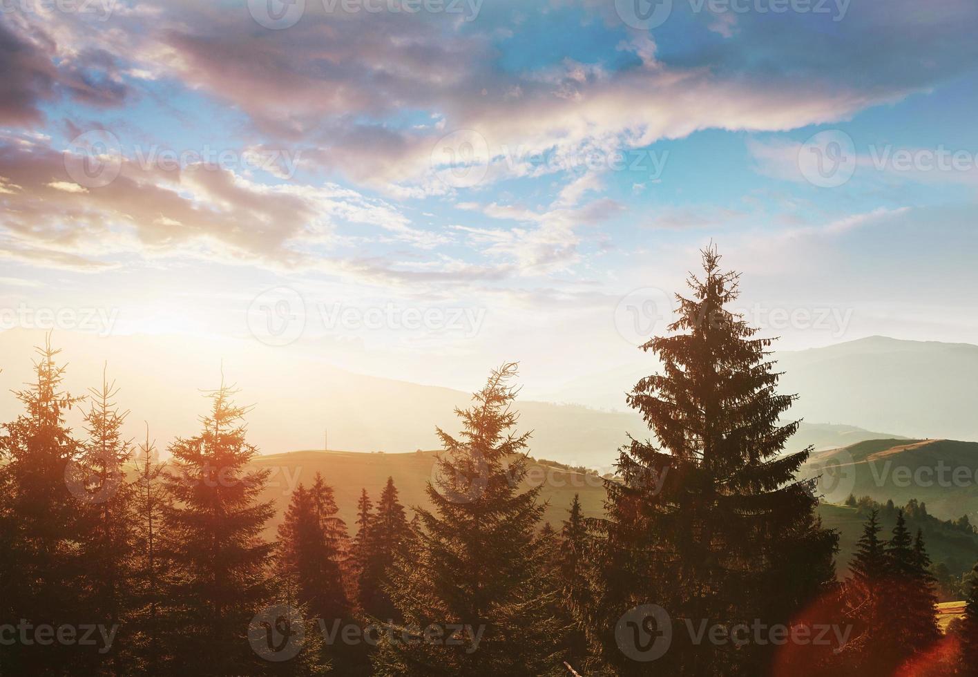 the mountain autumn landscape with colorful forest. Dramatic morning scene. Red and yellow autumn leaves. Location place Carpathians, Ukraine, Europe photo