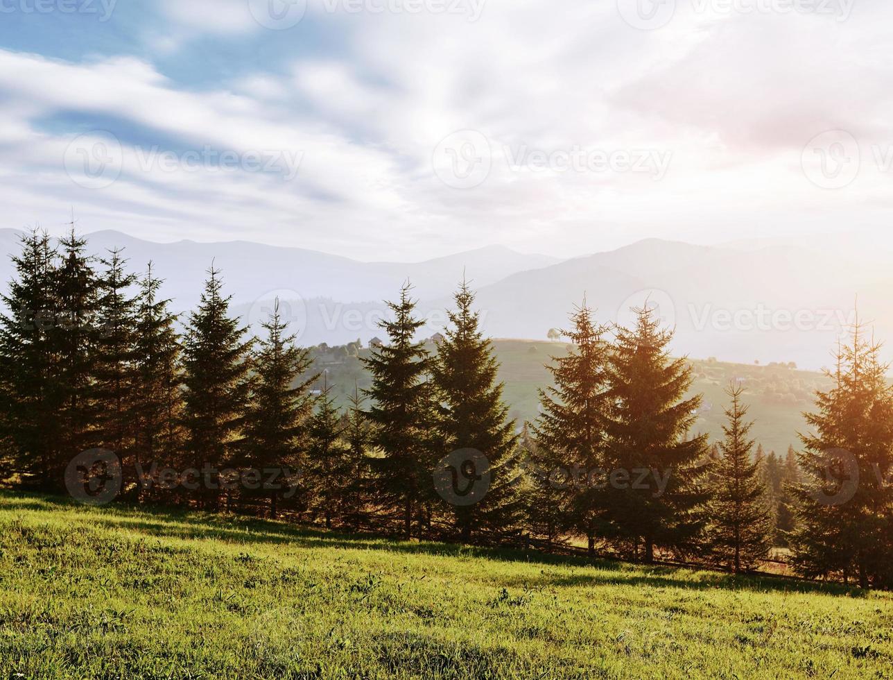 the mountain autumn landscape with colorful forest. Dramatic morning scene. Red and yellow autumn leaves. Location place Carpathians, Ukraine, Europe photo