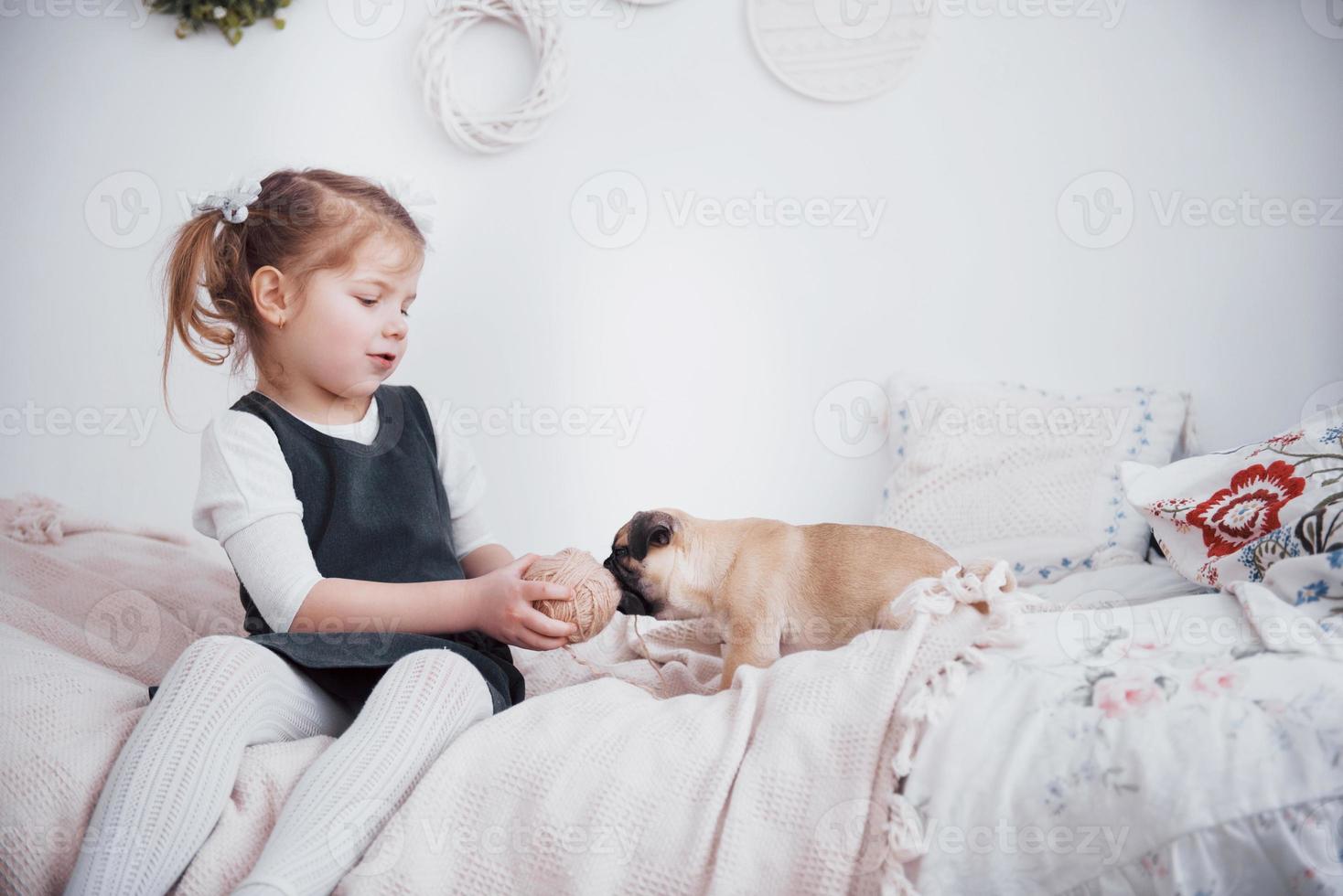 Adorable little girl feeding cute pug. She bought a puppy. the best friend photo