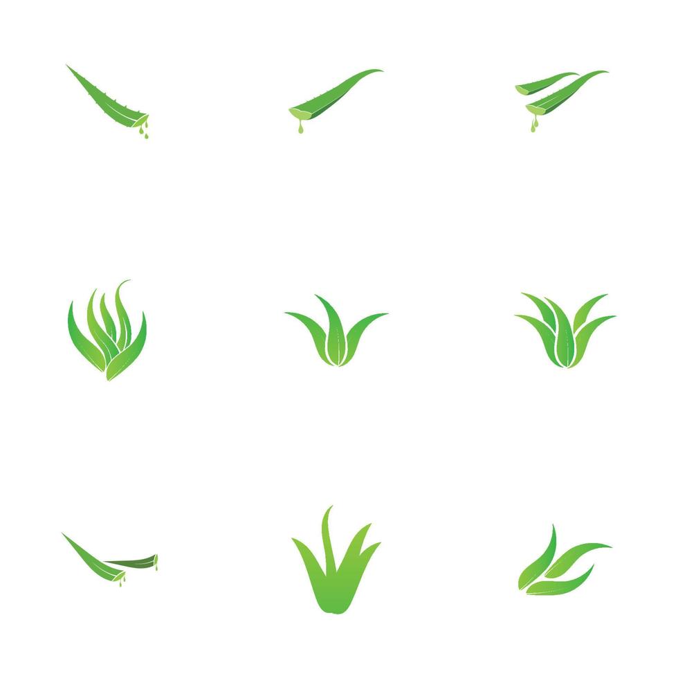 aloe vera logo vector