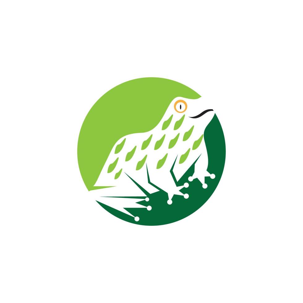 Green frog icon and symbol vector illustration