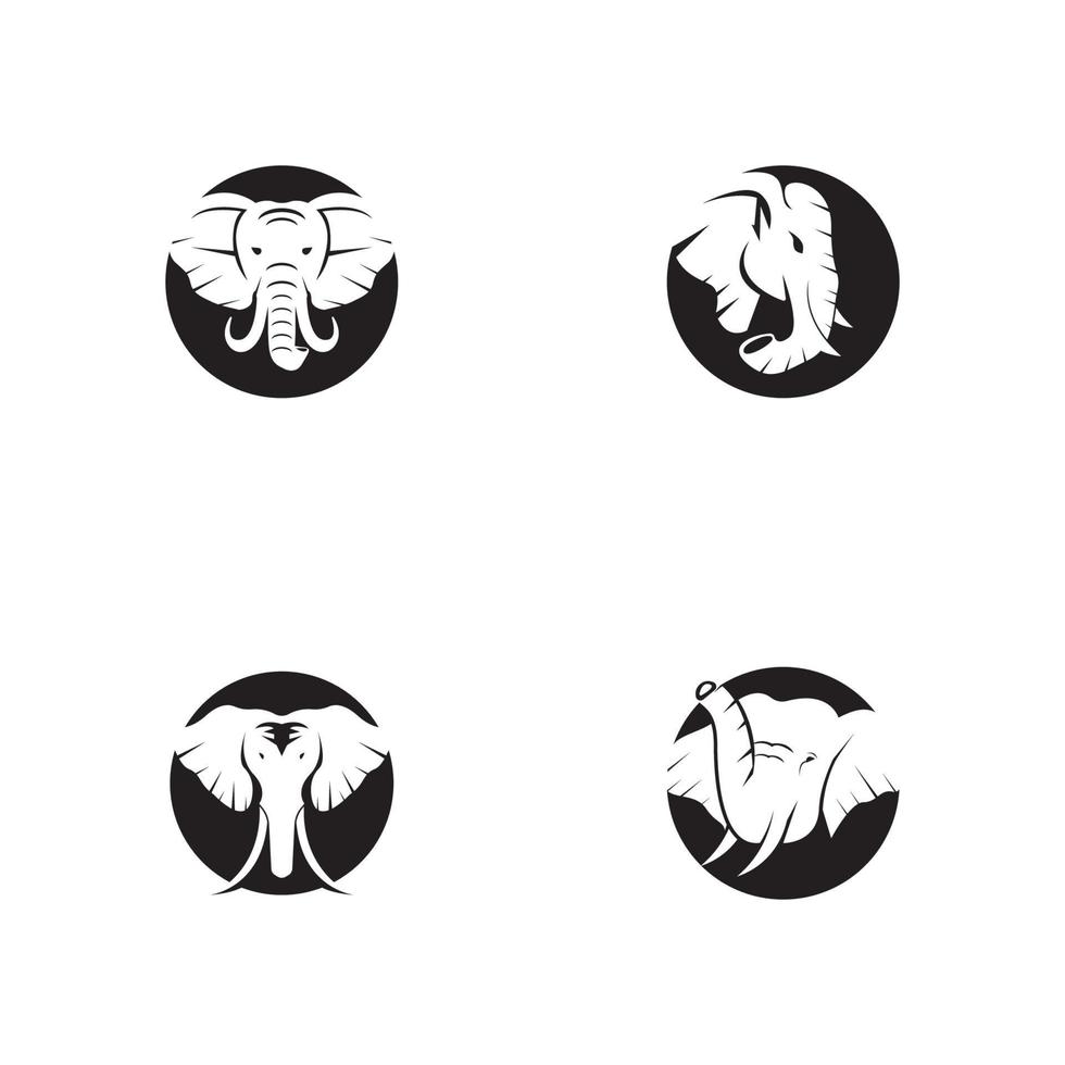 Ilustración de plantilla de vector de icono y símbolo de elefante