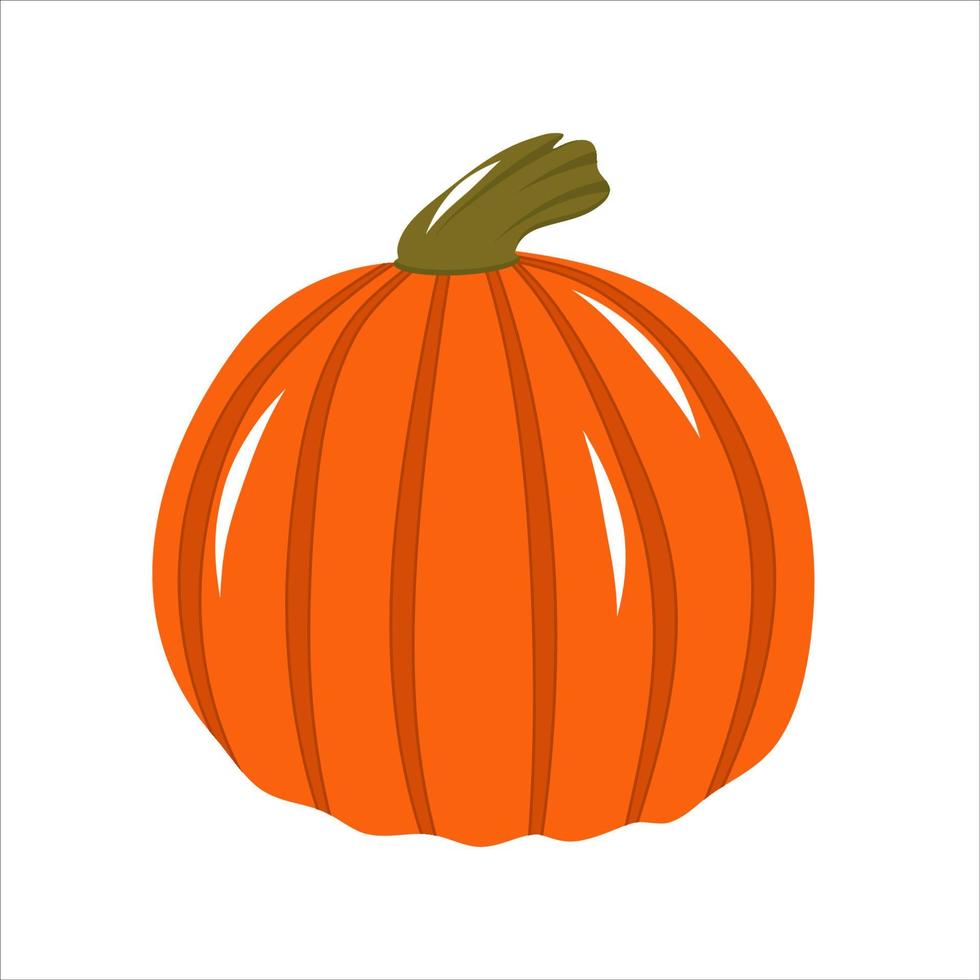 calabaza naranja halloween se aísla en un fondo blanco. ilustración vectorial en estilo de dibujos animados. calabaza, patison para la decoración de invitaciones para la fiesta de halloween. vector