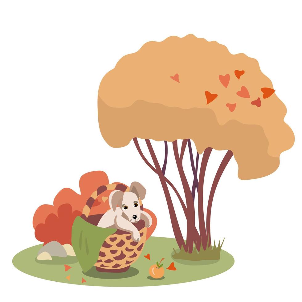 Cute puppy sitting in the autumn park vector