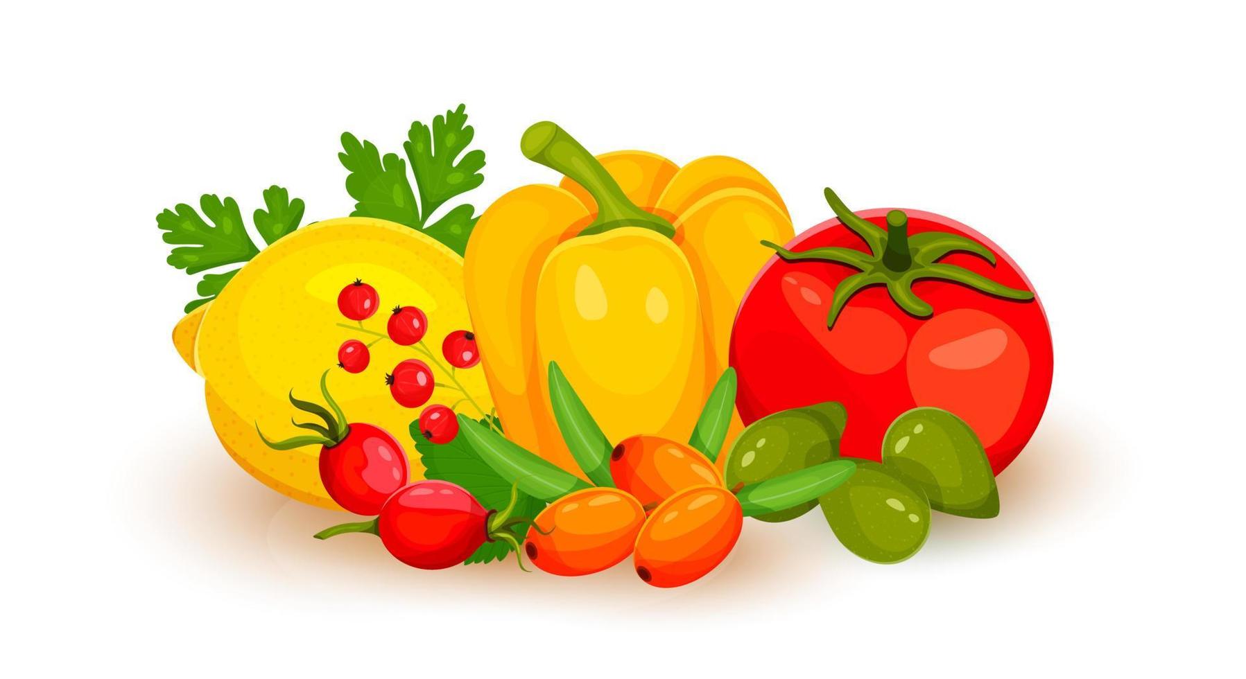 Ilustración de vector de fuente de alimento de vitamina c. alimentos que contienen ácido ascórbico. frutas y verduras limón, pimiento, tomate, espino amarillo, grosella roja, ciruela cacatúa, rosa silvestre. ilustración vectorial