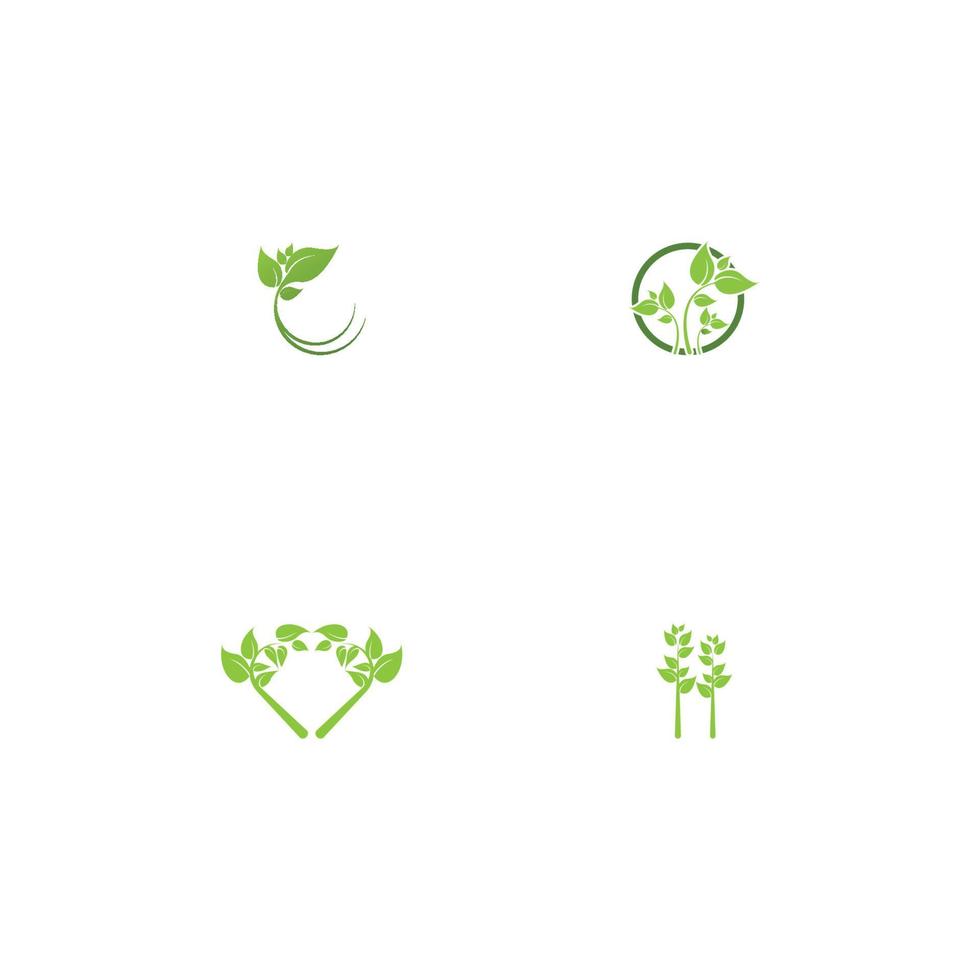 logotipos de la ecología de la hoja del árbol verde vector