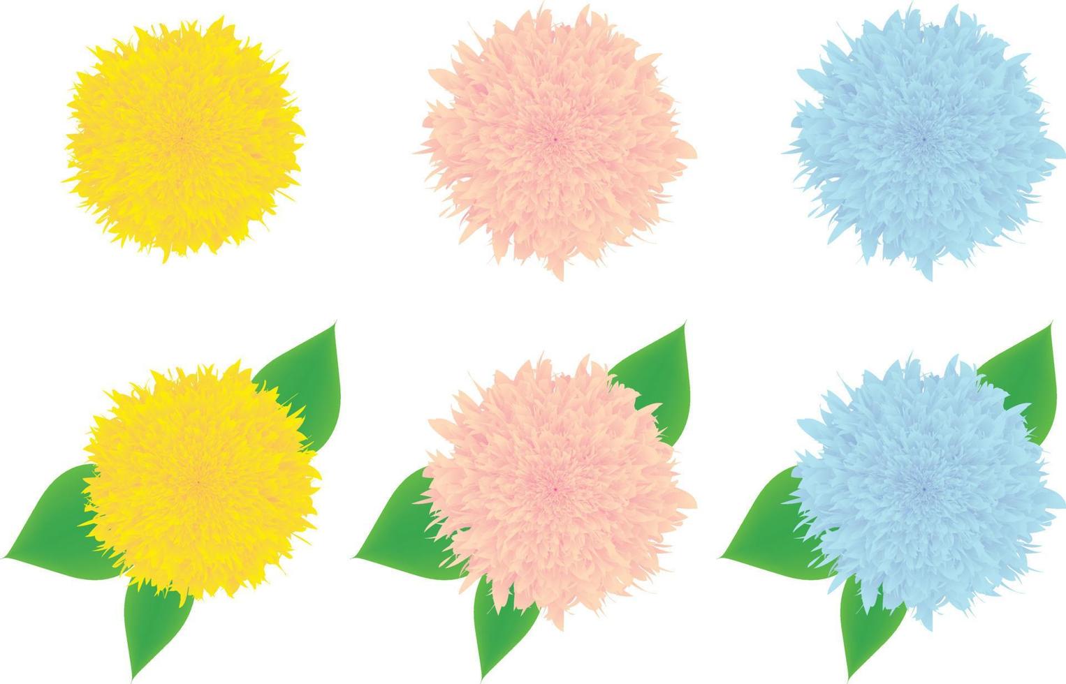 Set of flowers in different colors vector