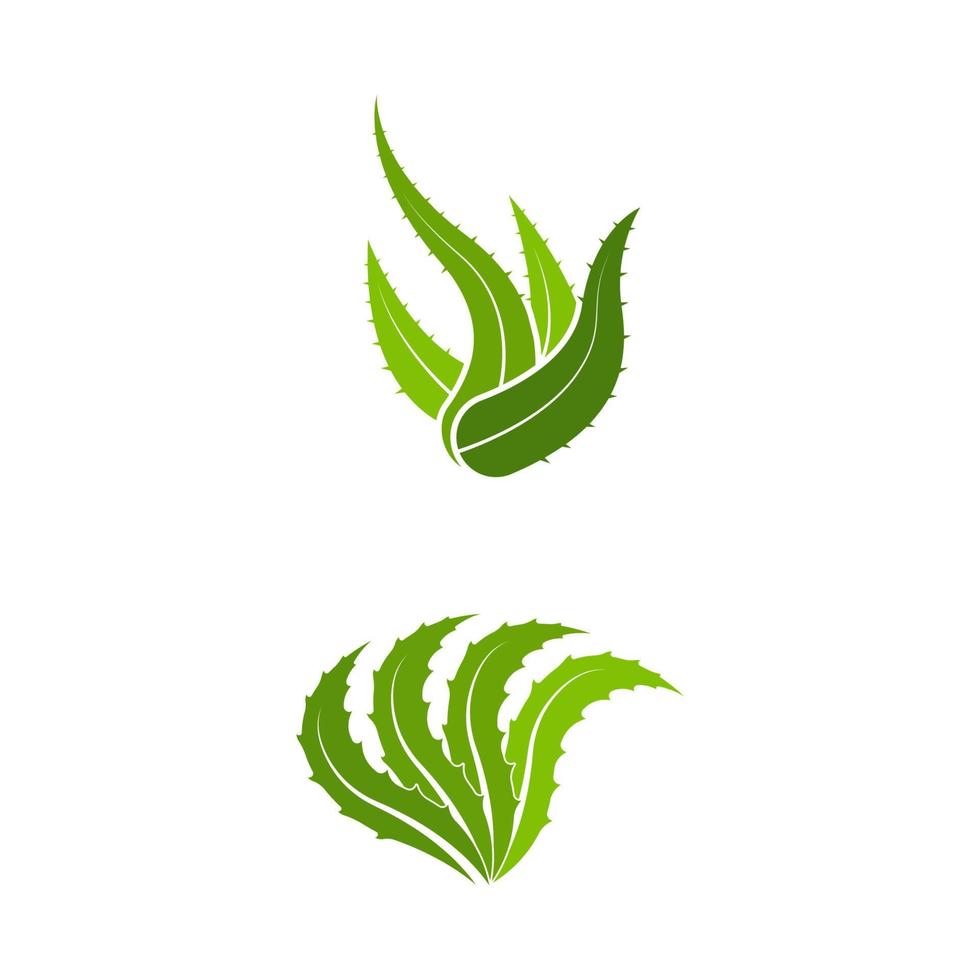 Ilustración de diseño de icono de vector de aloe vera