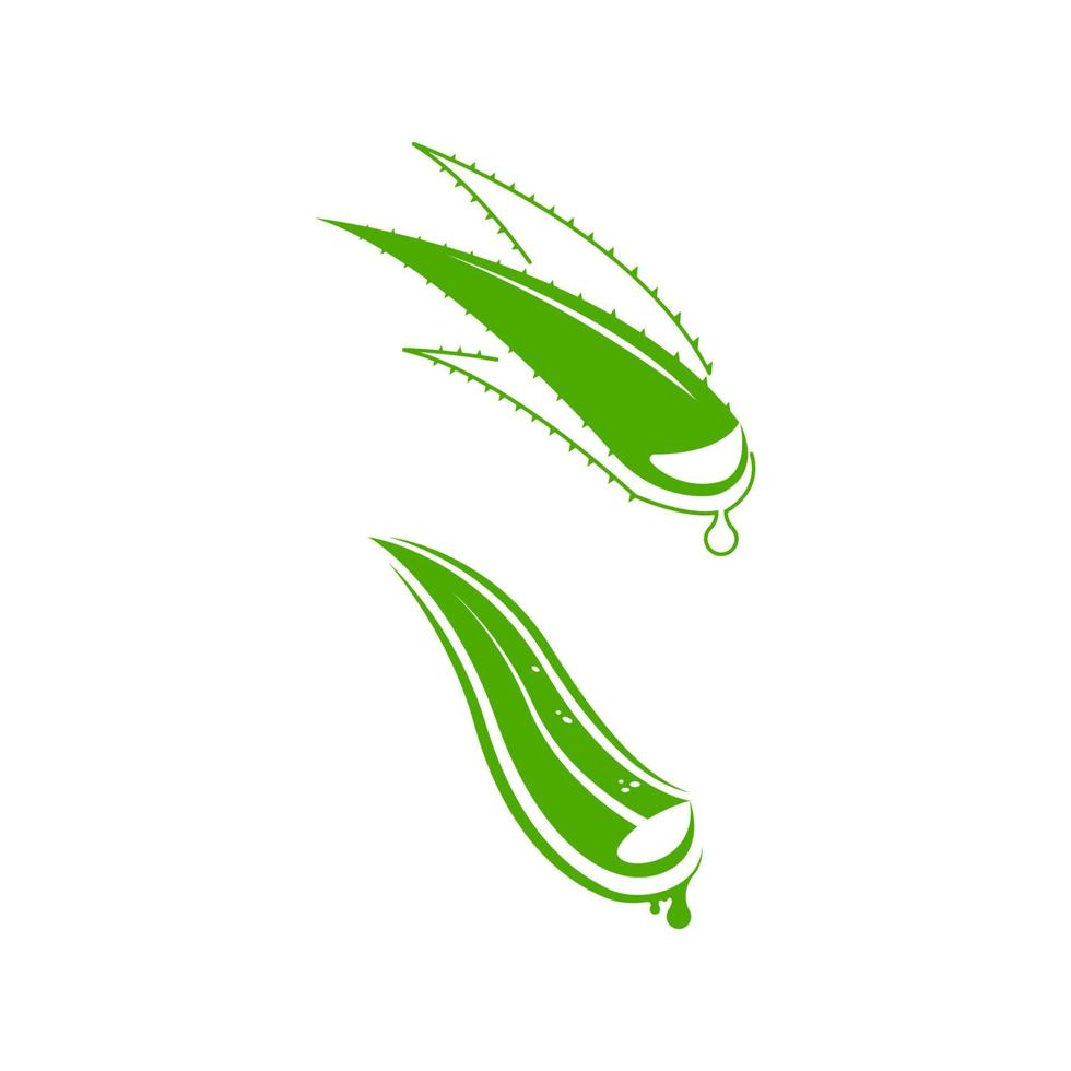 Ilustración de diseño de icono de vector de aloe vera