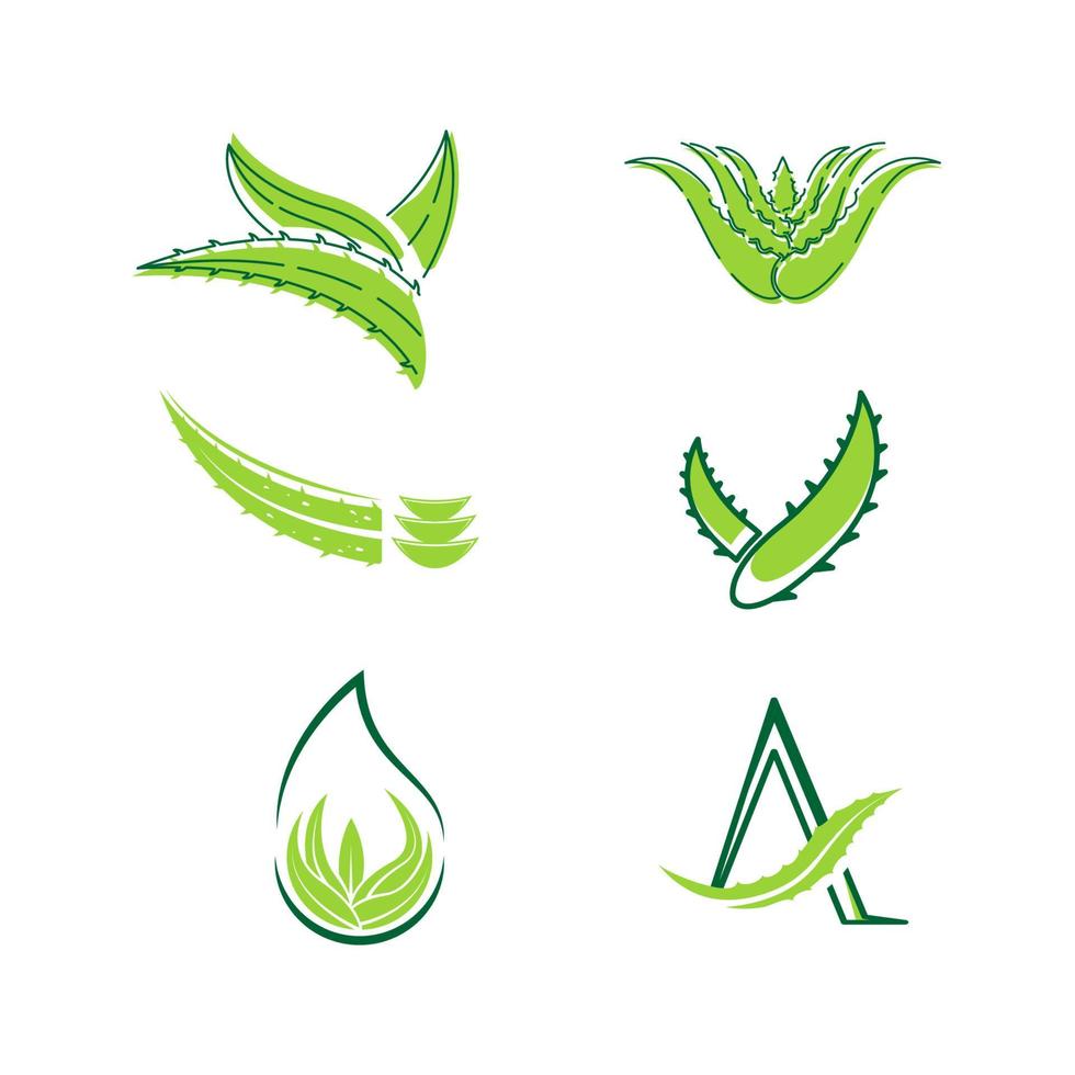 Aloe Vera Vector icon design illustration
