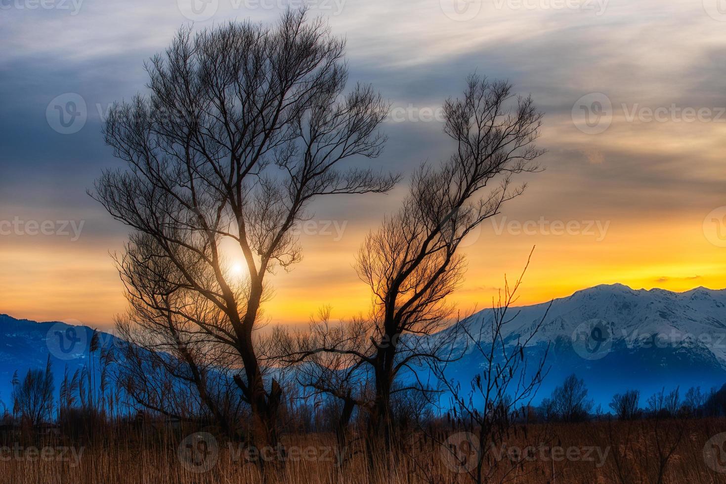 Sunset between trees in the background snowy mountains photo