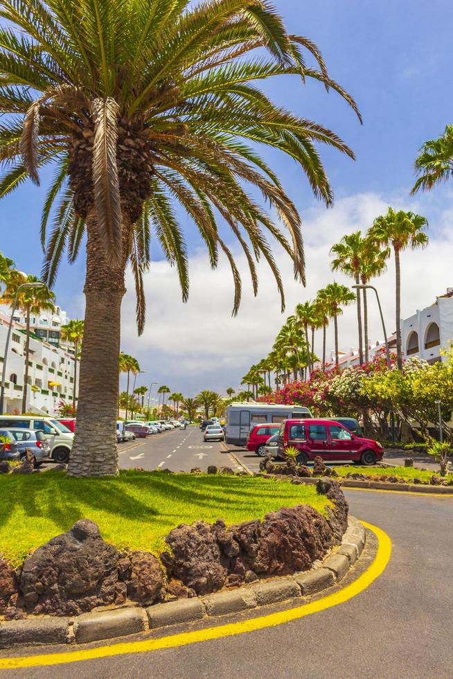 Tenerife, España 2014- palmeras, cocoteros en las calles y complejos turísticos en las islas Canarias de Tenerife, África foto