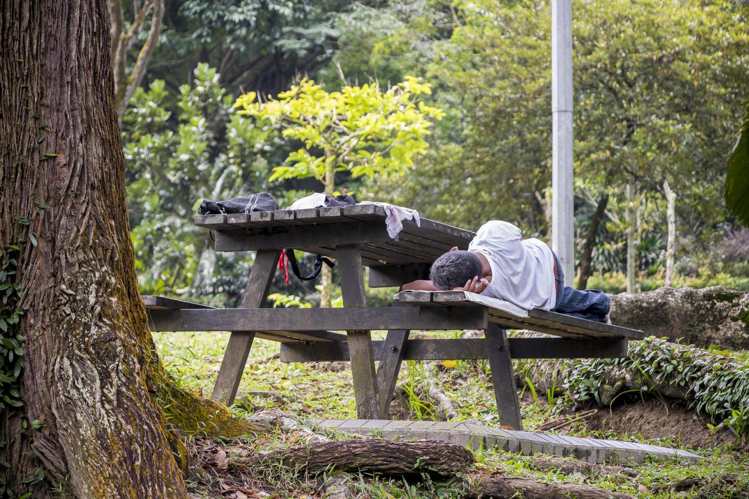 Malasia duerme en un banco del parque en el jardín botánico de Perdana, Kuala Lumpur, Malasia. foto