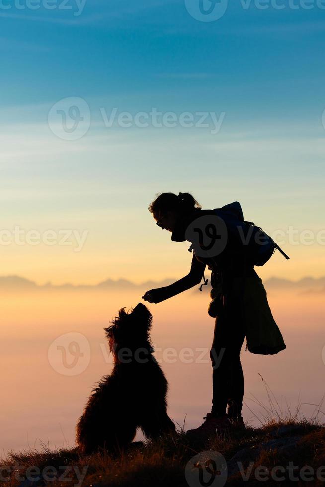 Girl playing and trains with her sheepdog while ago to see a biscuit photo