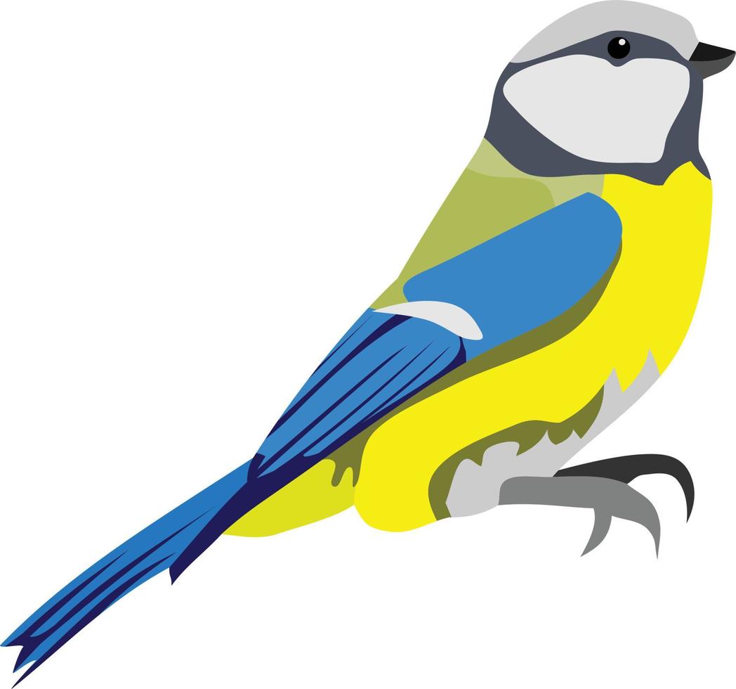 Small Bird Animal Vector