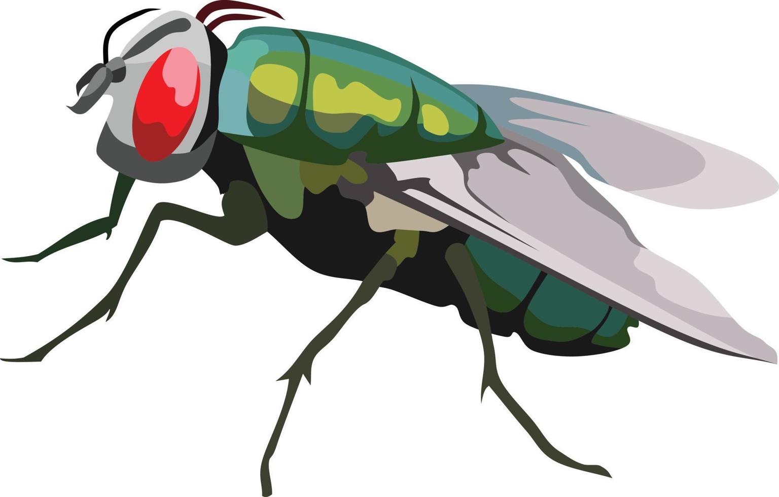 Green Fly Insect Animal Vector