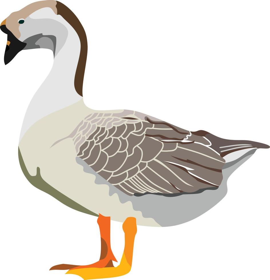 vector de animal de pájaro de ganso