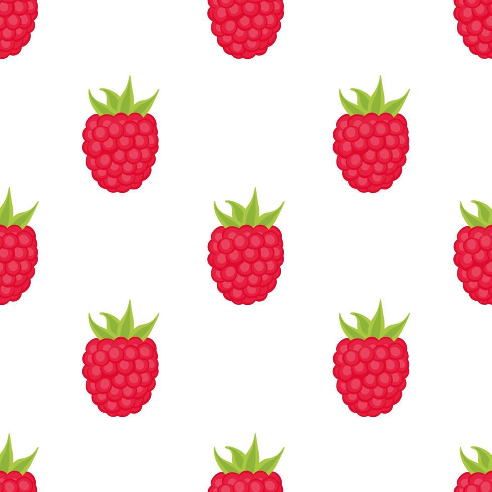 Seamless Pattern of Raspberries, Fruit Pattern, Berry Pattern, Vector Illustration