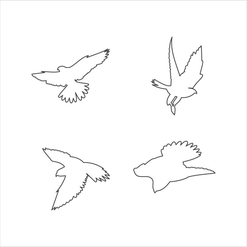 Bird logo template design vector icon illustration