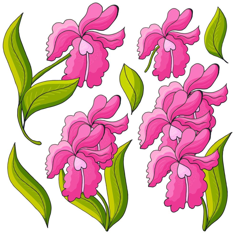 Floral illustration in hand draw style vector