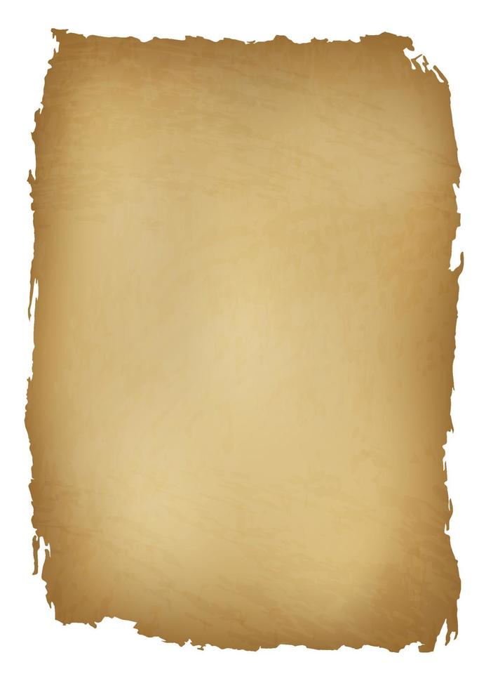 old paper sheet vintage vector