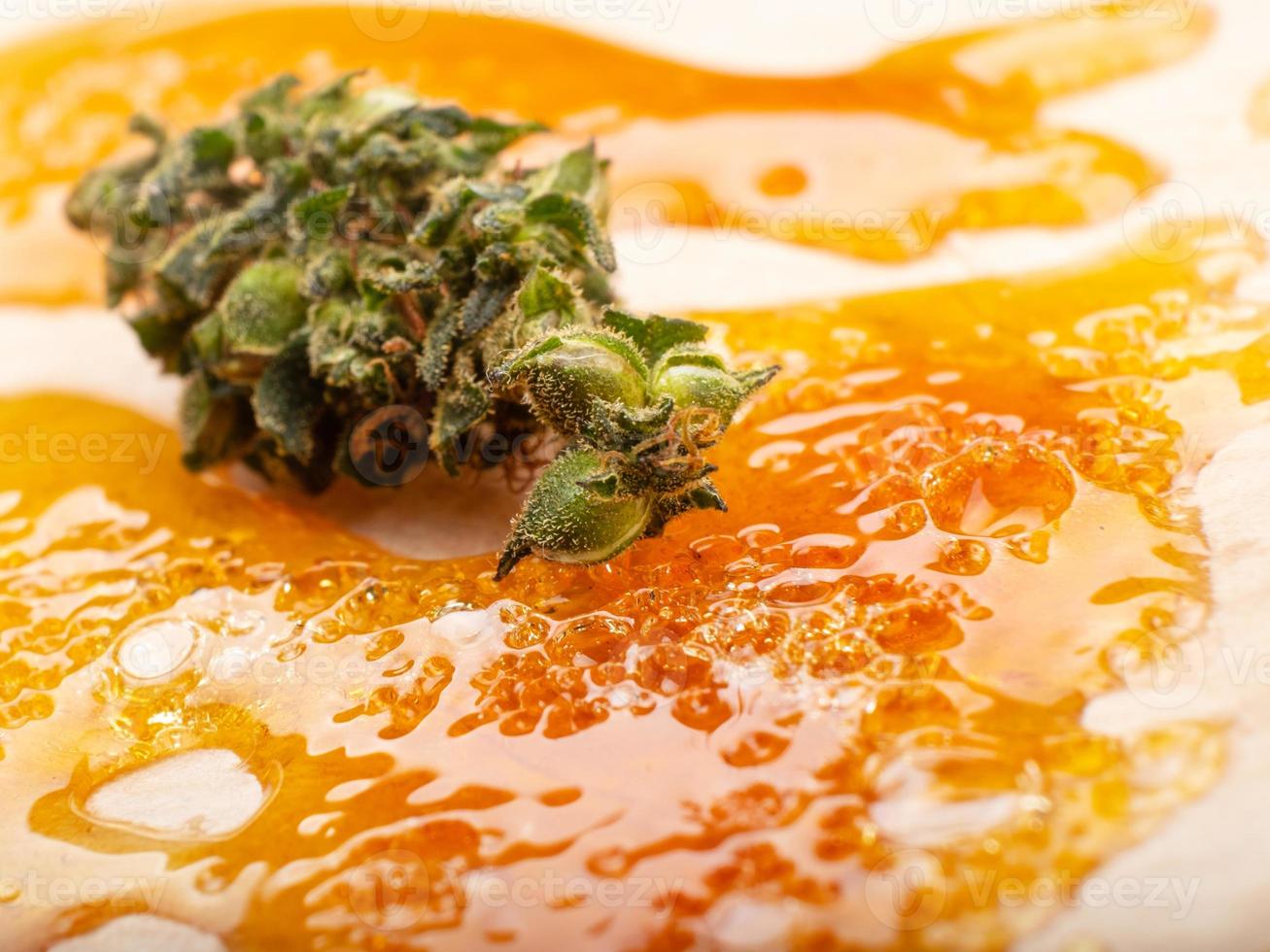 concentrate golden resin wax and dry green cannabis bud with high thc close up photo