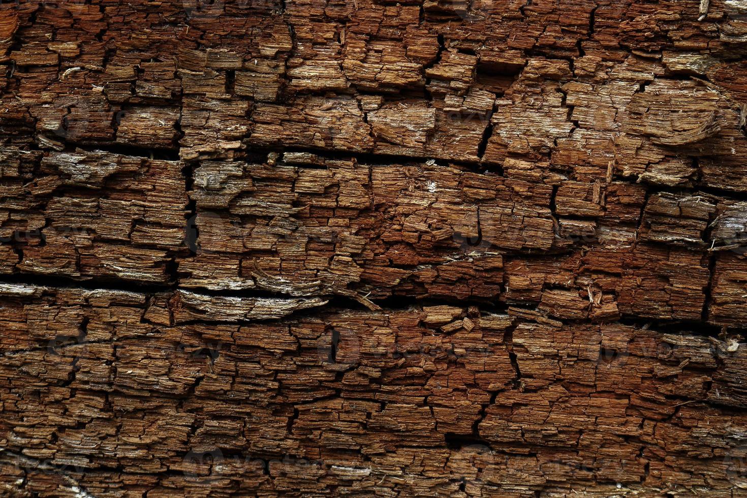 Textura de corteza de árbol marrón oscuro telón de fondo de trexture horizontal foto