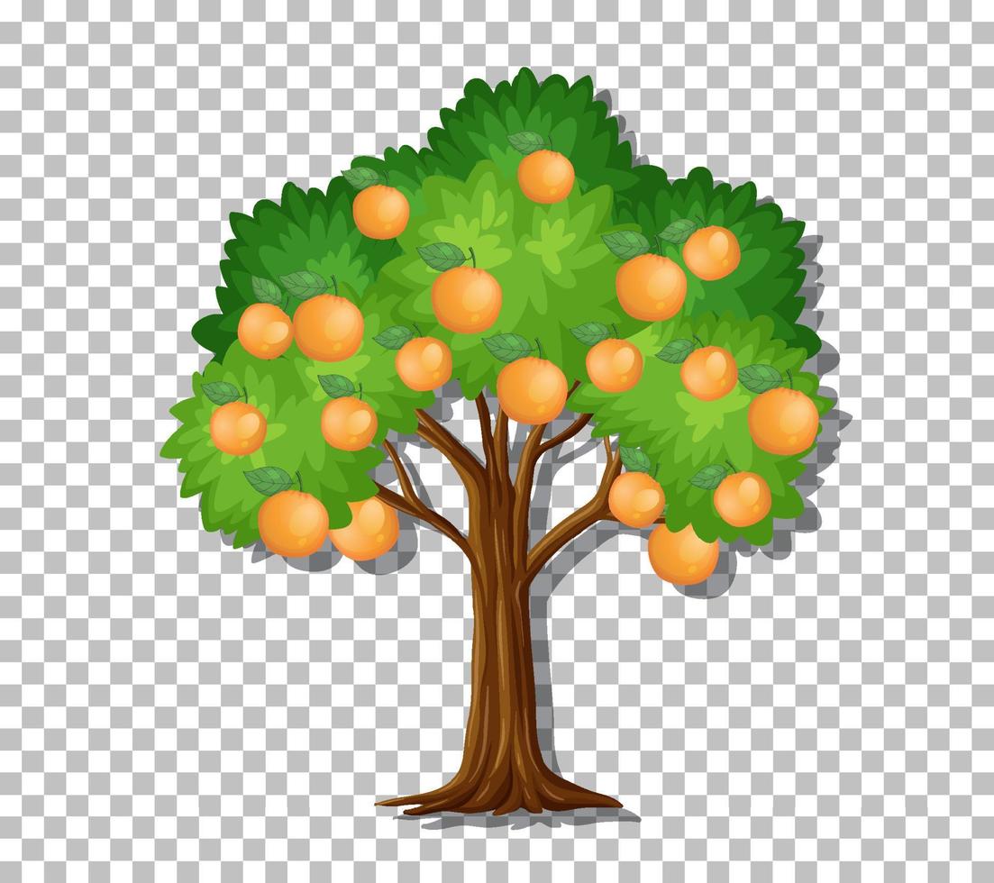 Orange tree on grid background vector