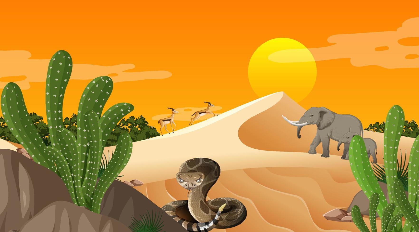 Desert forest landscape at sunset time scene with wild animals vector